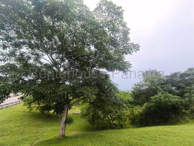 Terreno en Venta en Pedregal JG - Imagen 13