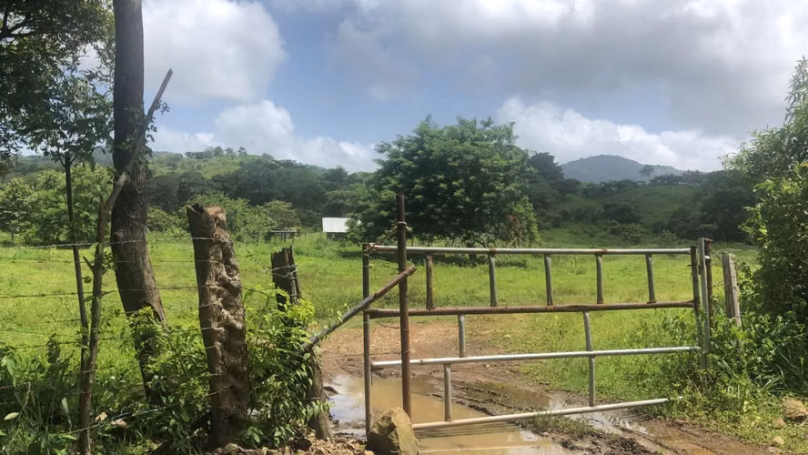 FINA Y CASA EN VENTA / TANARA DE CHEPO - Imagen 2
