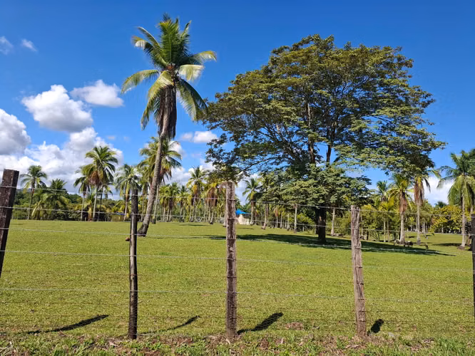 Venta de Lotes Privados en Utivé | Desde 1,000 m² | Río, Montañas y Acceso Privado - Imagen 8