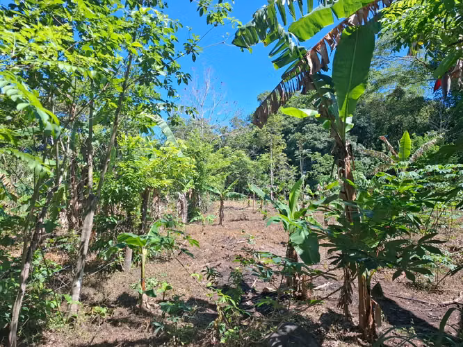 Venta de Lotes Privados en Utivé | Desde 1,000 m² | Río, Montañas y Acceso Privado - Imagen 6