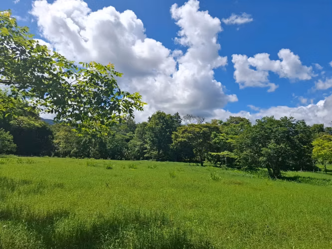 Venta de Lotes Privados en Utivé | Desde 1,000 m² | Río, Montañas y Acceso Privado - Imagen 3