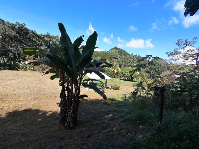 SE VENDE TERRENO DE 1,238 MTS2 EN BAJO DEL RIO CHAME - Imagen 5