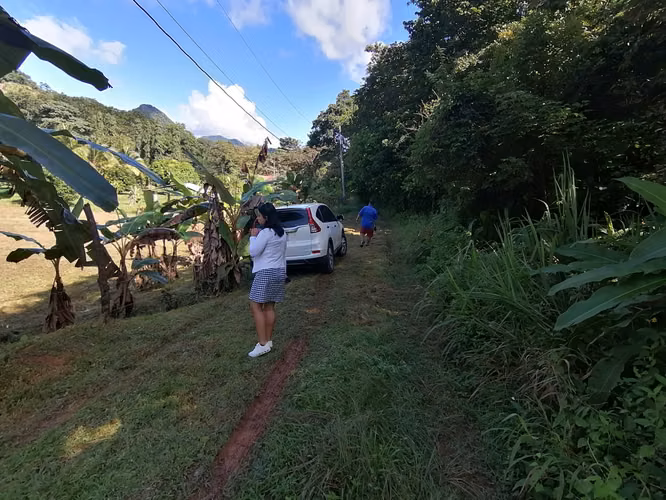 SE VENDE TERRENO DE 1,238 MTS2 EN BAJO DEL RIO CHAME - Imagen 2