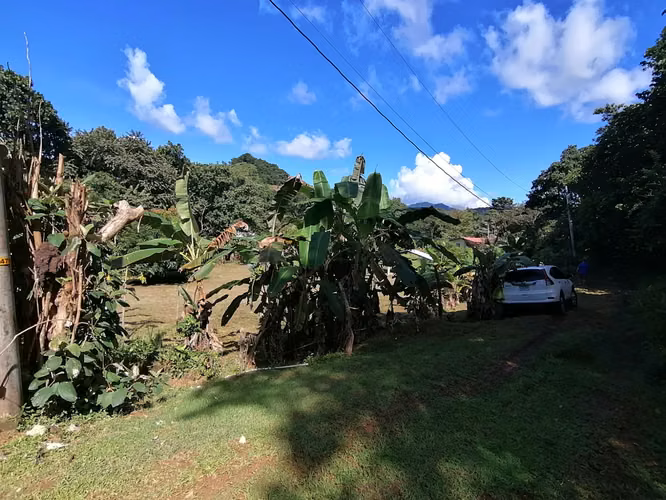SE VENDE TERRENO DE 1,238 MTS2 EN BAJO DEL RIO CHAME - Imagen 3