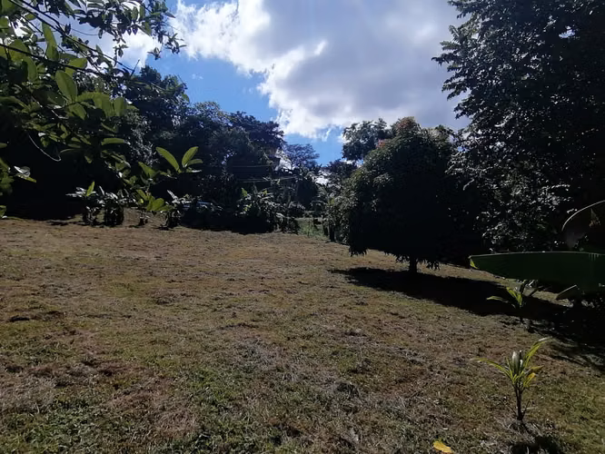 SE VENDE TERRENO DE 1,238 MTS2 EN BAJO DEL RIO CHAME - Imagen 7