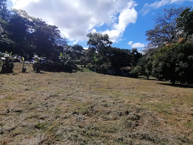 SE VENDE TERRENO DE 1,238 MTS2 EN BAJO DEL RIO CHAME - Imagen 6