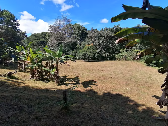 SE VENDE TERRENO DE 1,238 MTS2 EN BAJO DEL RIO CHAME - Imagen 10