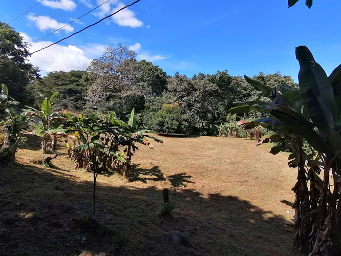 SE VENDE TERRENO DE 1,238 MTS2 EN BAJO DEL RIO CHAME - Imagen 4