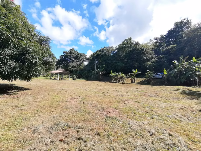 SE VENDE TERRENO DE 1,238 MTS2 EN BAJO DEL RIO CHAME - Imagen 8
