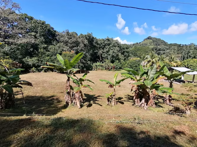 SE VENDE TERRENO DE 1,238 MTS2 EN BAJO DEL RIO CHAME - Imagen 11
