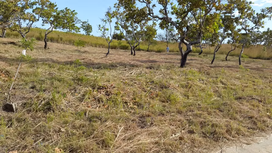 VENDO OPORTUNIDAD! TERRENO DE 1,450 M2, RIO MAR. - Imagen 7