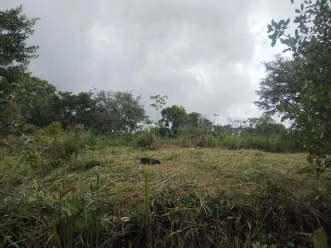 VENTA Terreno y Casa en POTRERILLO - Imagen 4