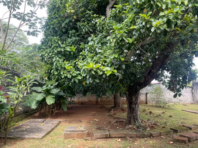 EN VENTA AMPLIA CASA / 3 RECAMARAS / TERRENO DE 880 m² - Imagen 18