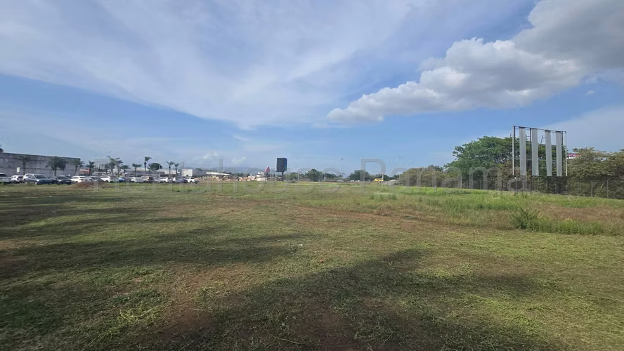 Land for sale in Santa Maria OF26-9028
