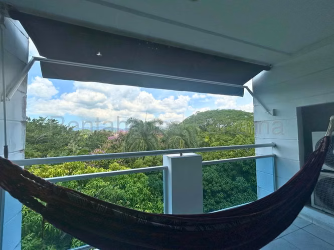 Apartamento en Alquiler en Clayton JG - Imagen 13