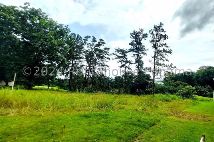 Terreno en Venta en Brisas Del Golf JG