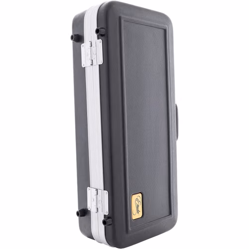 EAS-200 Alto Saxofon - Imagen 3