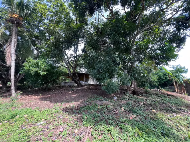 Se vende terreno en Olá Coclé KC