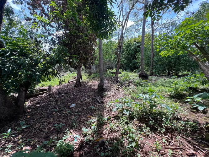 Se vende terreno en Olá Coclé KC