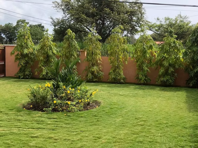  EXCLUSIVA CASA EN VENTA EN CORONADO – AMPLIO TERRENO DE 1,500 m²