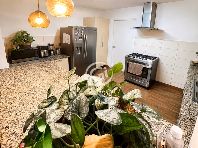 Alquiler Amplio Apartamento Amoblado Deluna Park View con Balcón