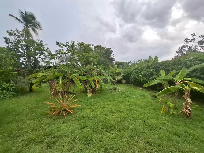 Venta de Terreno con Casa en Ciudad Radial, Juan Díaz, 600m2