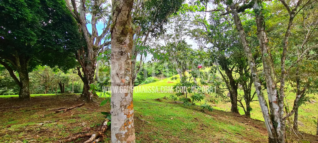 Oportunidad! Se vende Casa Proyecto en  ALTOS DEL MARÍA - Imagen 10
