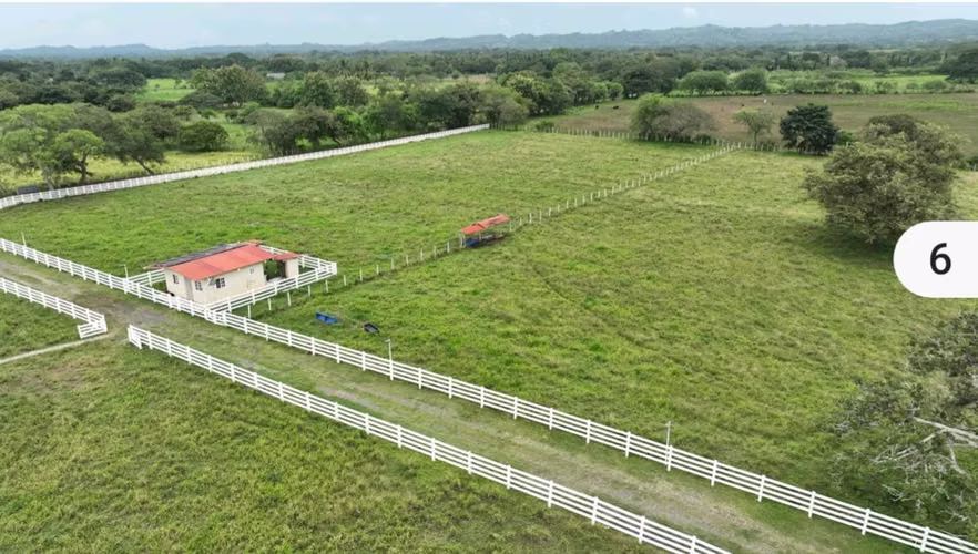 FINCA DE 90,489.27 m2, EN EL GUAYABAL-LOS SANTOS - Imagen 3