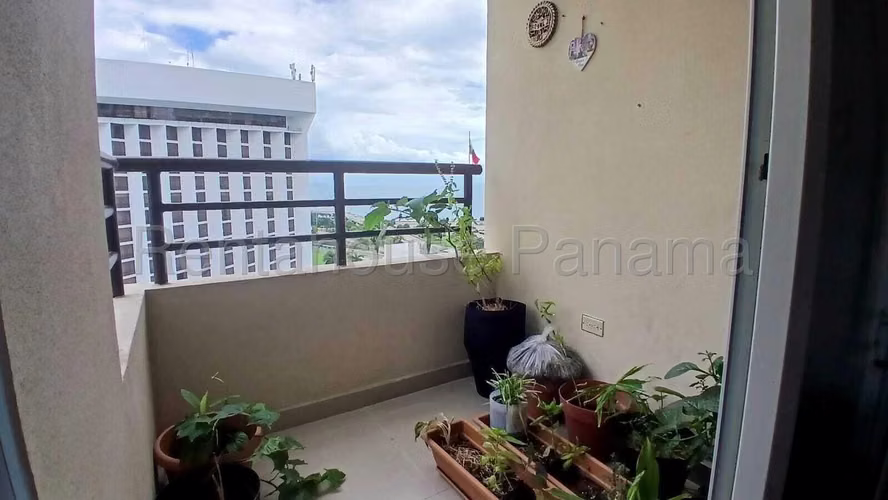 Venta de Apartamento en San Francisco Ph Mandarin Bay Solo Cliente Directo LFC