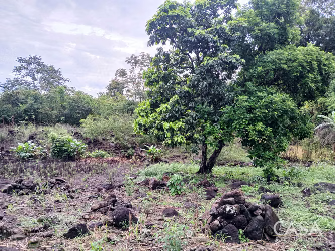 Lote Plano de 5,760 m² en Venta en El Francés, Boquete, Chiriquí - Imagen 14