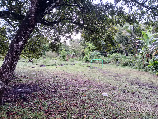 Lote Plano de 5,760 m² en Venta en El Francés, Boquete, Chiriquí - Imagen 6