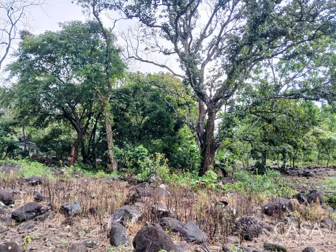 Lote Plano de 5,760 m² en Venta en El Francés, Boquete, Chiriquí - Imagen 15