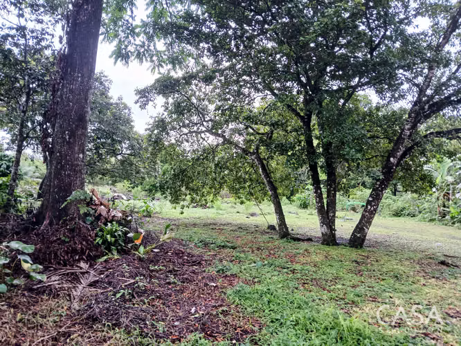Lote Plano de 5,760 m² en Venta en El Francés, Boquete, Chiriquí - Imagen 3