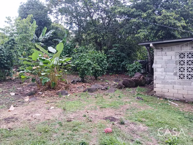 Lote Plano de 5,760 m² en Venta en El Francés, Boquete, Chiriquí - Imagen 8