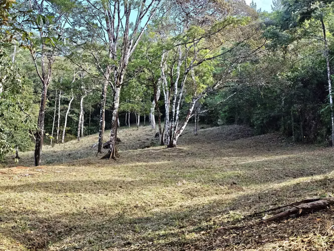 VENTA DE TERRENOS –LAS.NUBES CERRO AZUL LAS NUBES