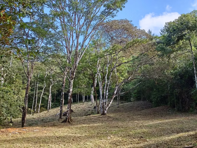 VENTA DE TERRENOS –LAS.NUBES CERRO AZUL LAS NUBES