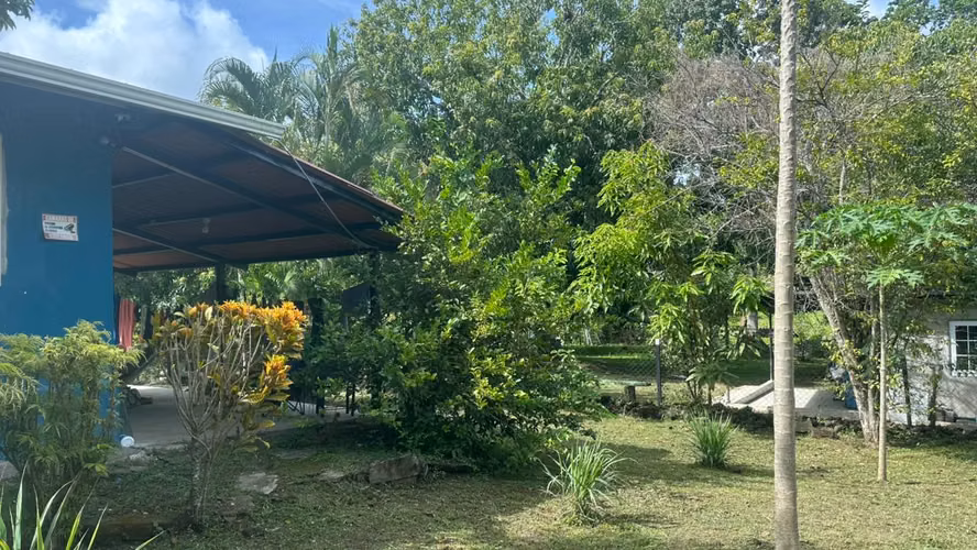 SE ALQUILA AMUEBLADA + 4 HECTAREAS CON AGUA - Imagen 12