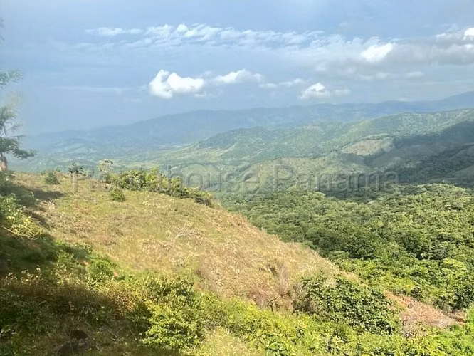 Vendo Finca Agropecuaria de 1,200,000 m² en Pacora 26-8978GG - Imagen 3