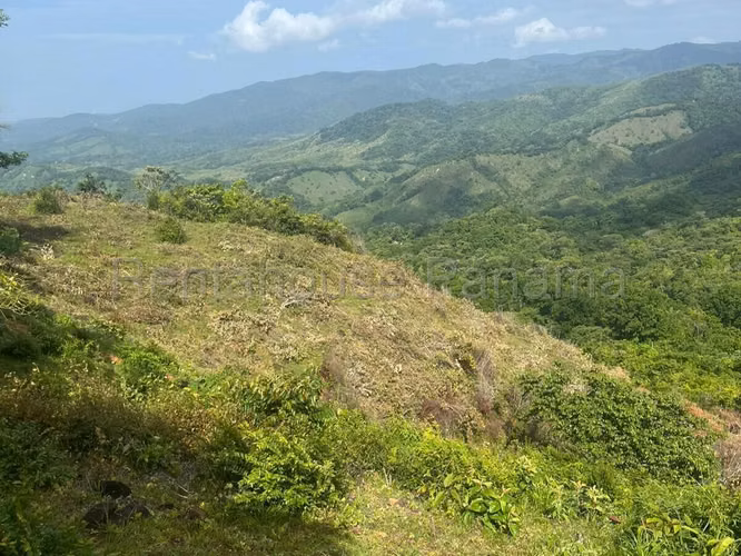 Vendo Finca Agropecuaria de 1,200,000 m² en Pacora 26-8978GG - Imagen 18