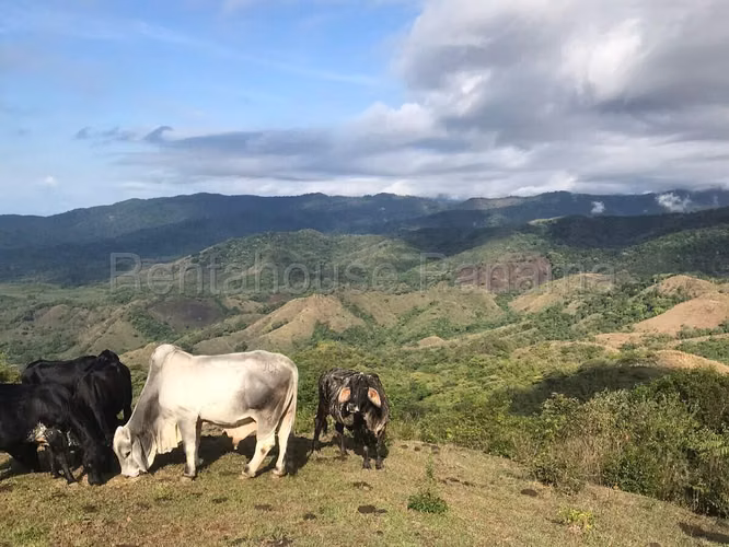 Vendo Finca Agropecuaria de 1,200,000 m² en Pacora 26-8978GG - Imagen 15