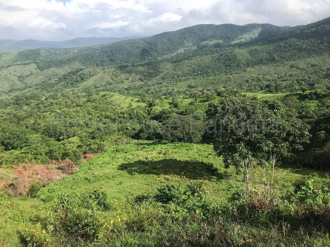 Vendo Finca Agropecuaria de 1,200,000 m² en Pacora 26-8978GG - Imagen 9