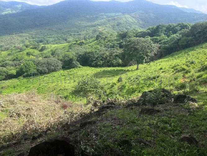 Vendo Finca Agropecuaria de 1,200,000 m² en Pacora 26-8978GG