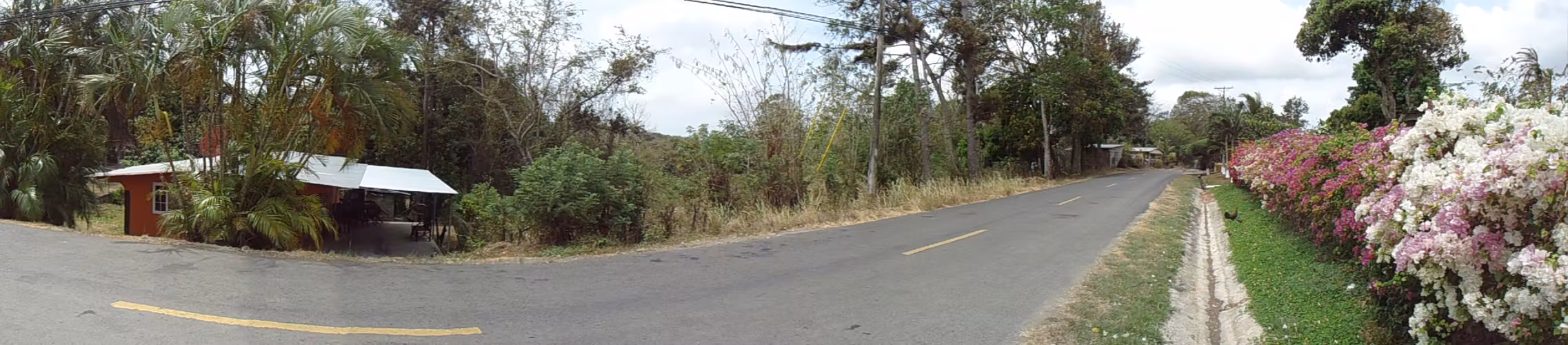 El terreno más barato de  Cermeño - Imagen 6