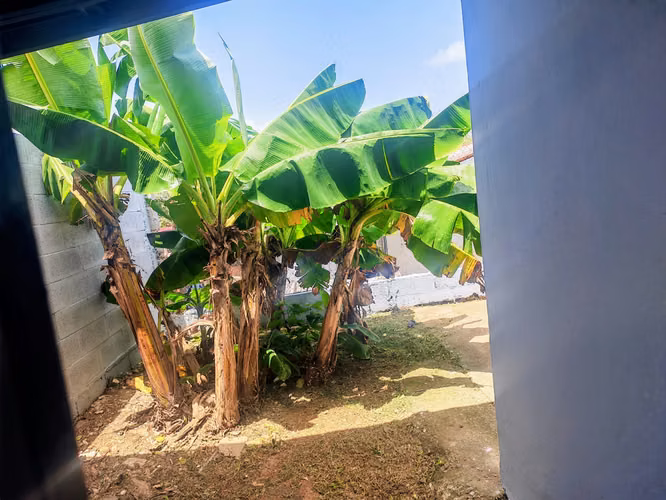 GANGA de  Casa En Urb. Juan Pablo II Chorrera La Chorrera