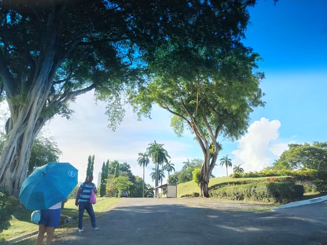 Venta de lote funerario en Jardín de Paz