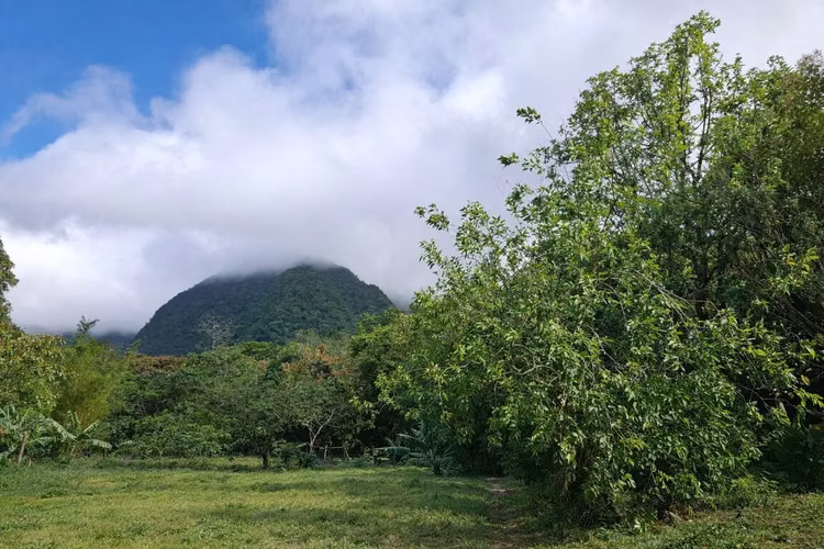Lote de montaña excepcional en El Valle De Antón - Imagen 15