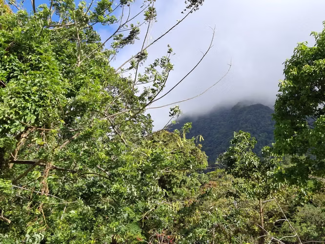 Lote de montaña excepcional en El Valle De Antón - Imagen 7