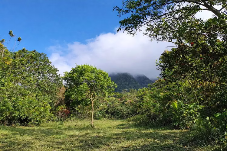 Lote de montaña excepcional en El Valle De Antón - Imagen 14