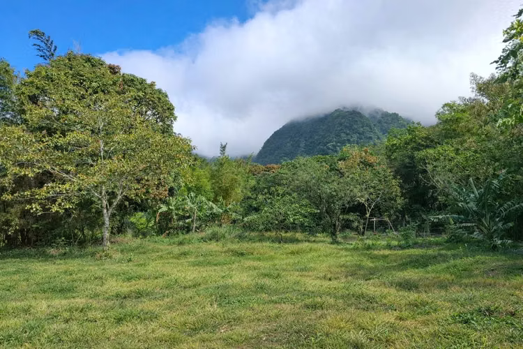 Lote de montaña excepcional en El Valle De Antón - Imagen 13