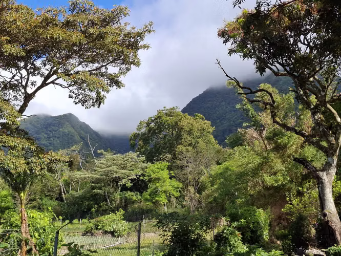 Lote de montaña excepcional en El Valle De Antón - Imagen 8
